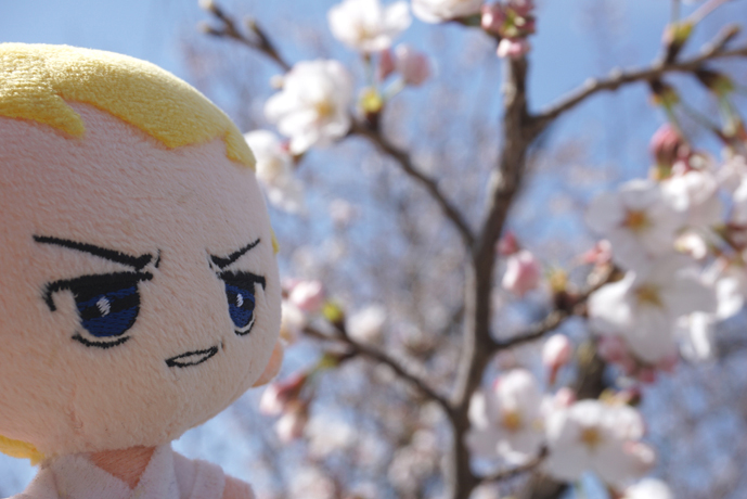 花とぬい様