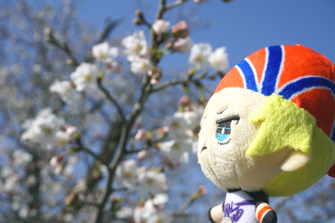 花とぬい様