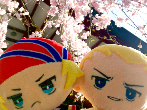 花とぬい様