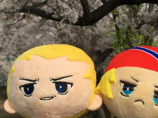 花とぬい様