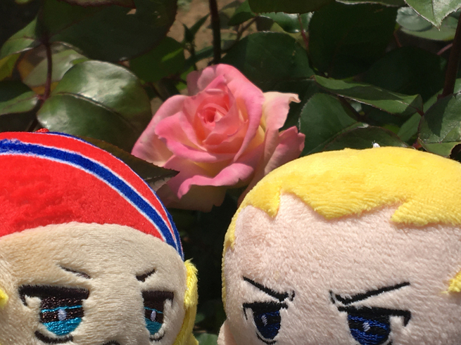 花とぬい様