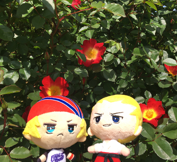 花とぬい様