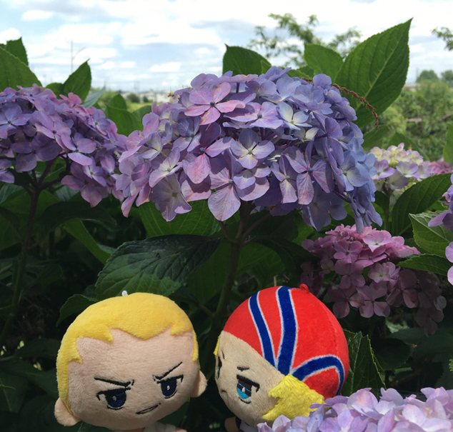 花とぬい様