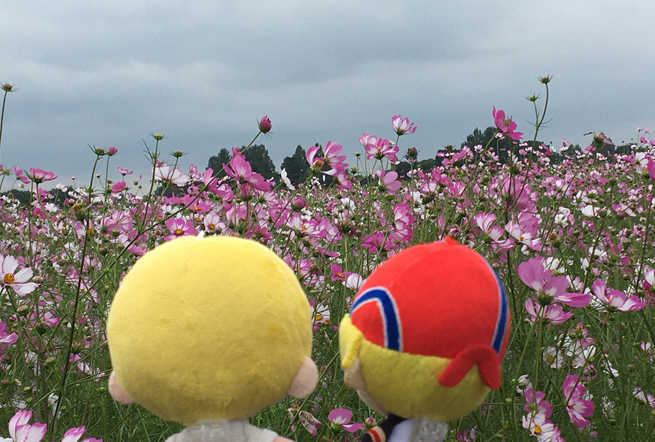 花とぬい様