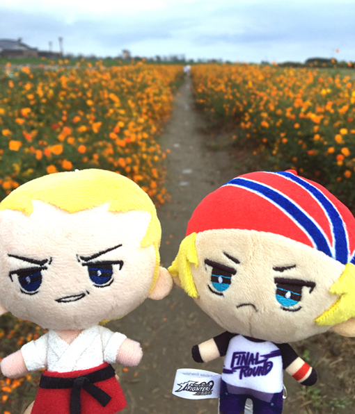 花とぬい様