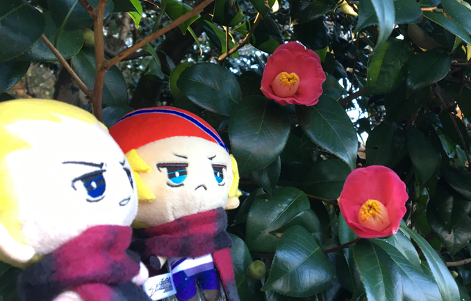 花とぬい様