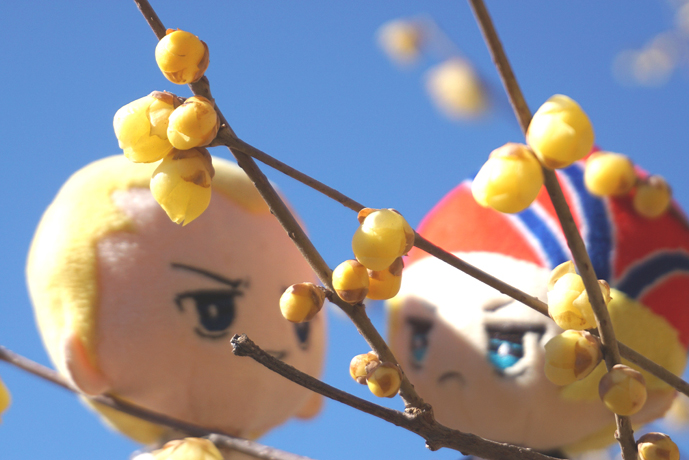 花とぬい様