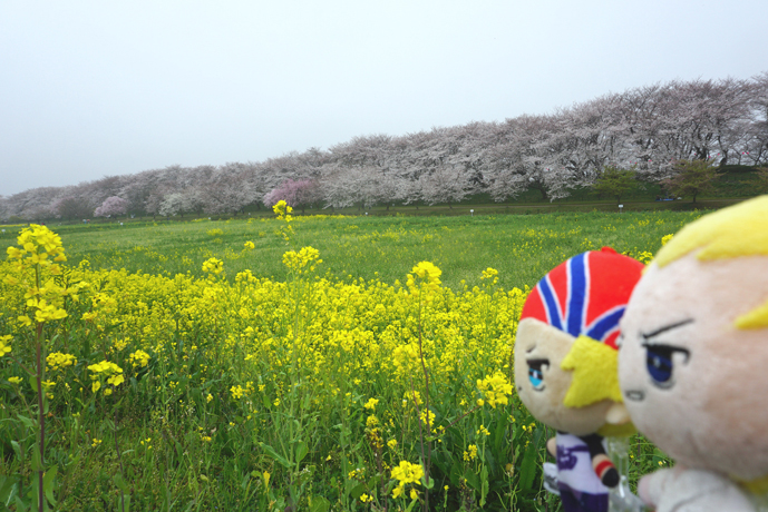 花とぬい様
