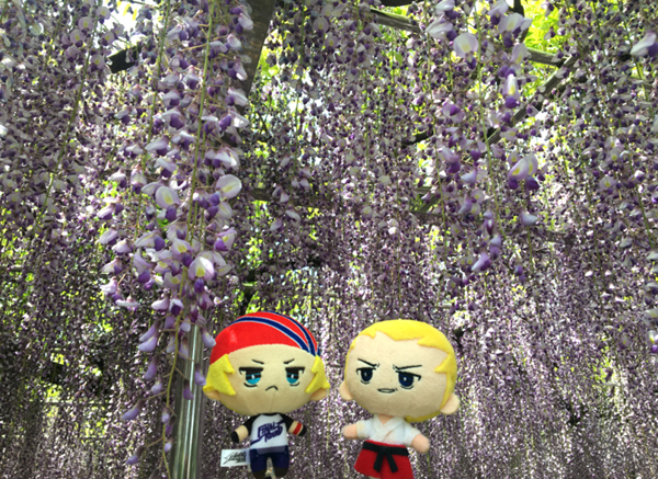 花とぬい様