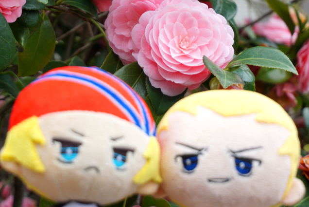 花とぬい様