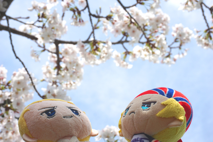 花とぬい様