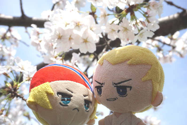 花とぬい様