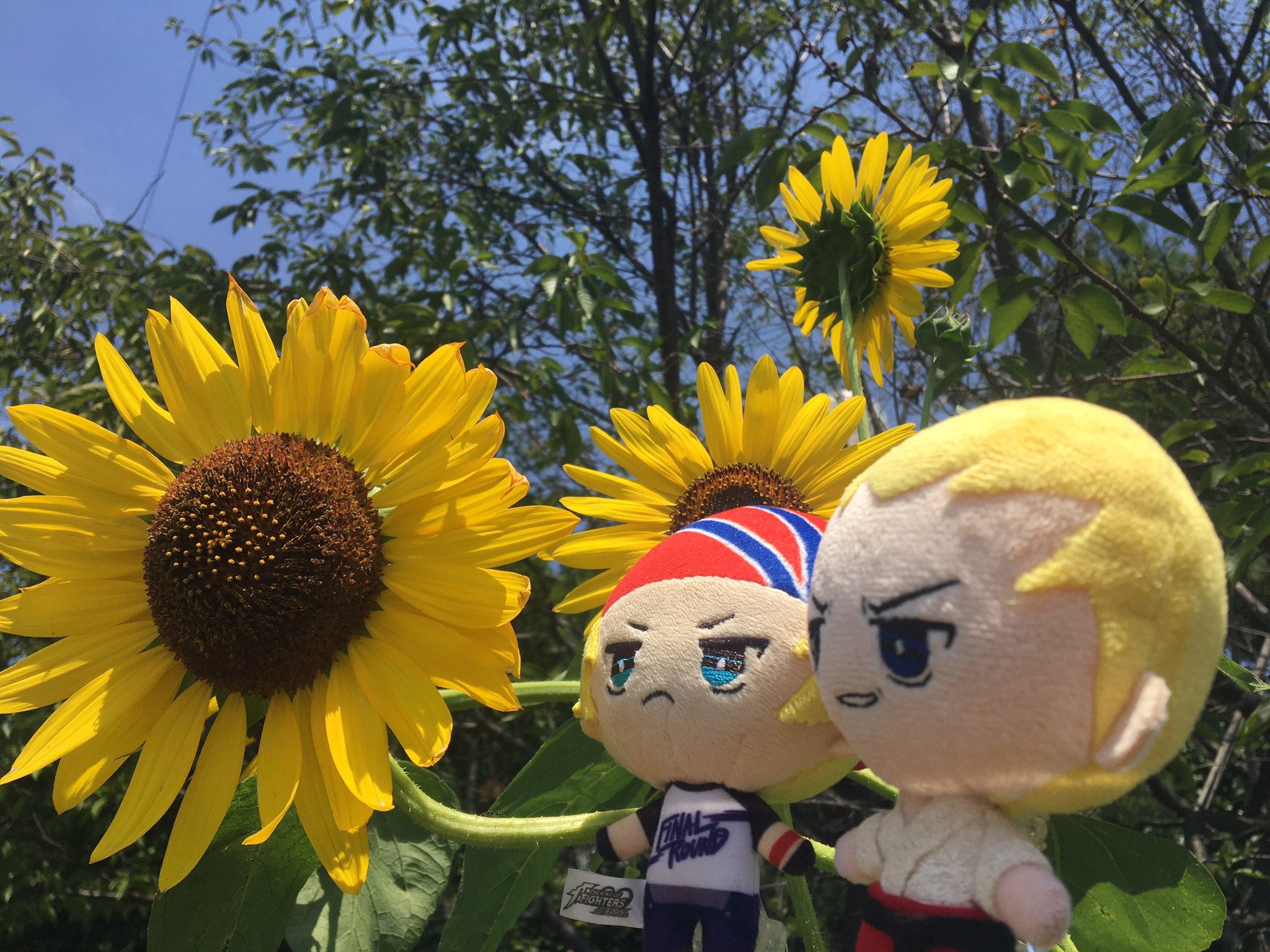 花とぬい様