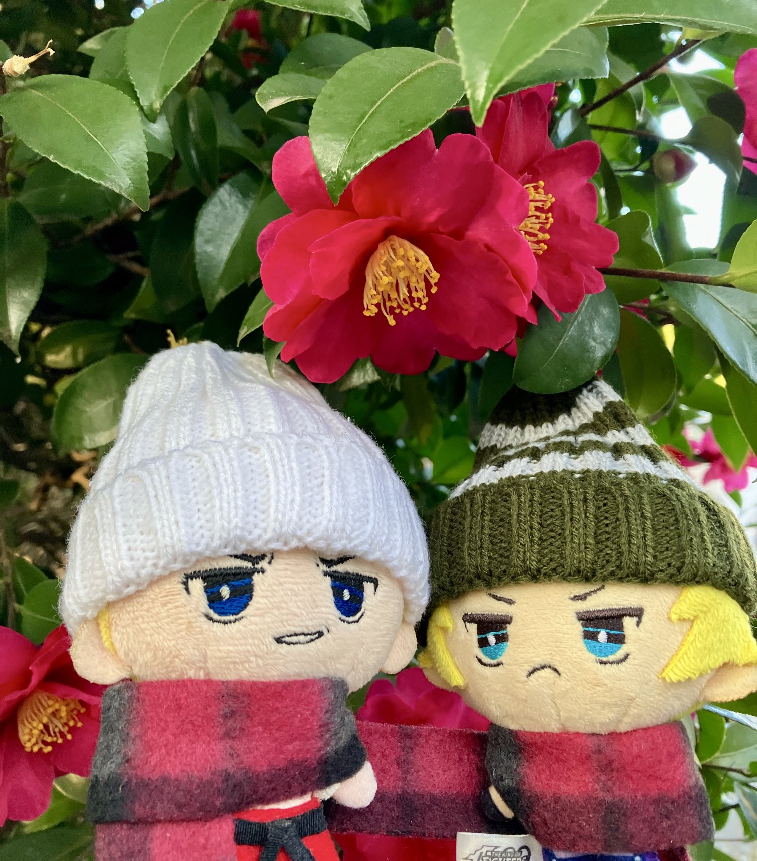 花とぬい様